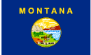 Montana state flag