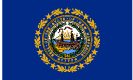 New Hampshire state flag